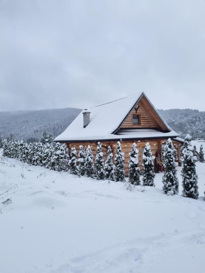Jodlowa Chata Myślenice Exterior foto